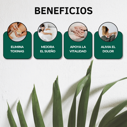 PARCHES DESINTOXICANTES CON FÓRMULA NATURAL